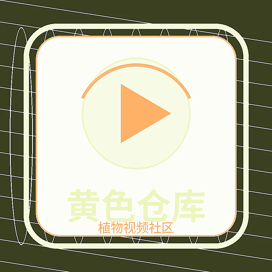 黄色仓库